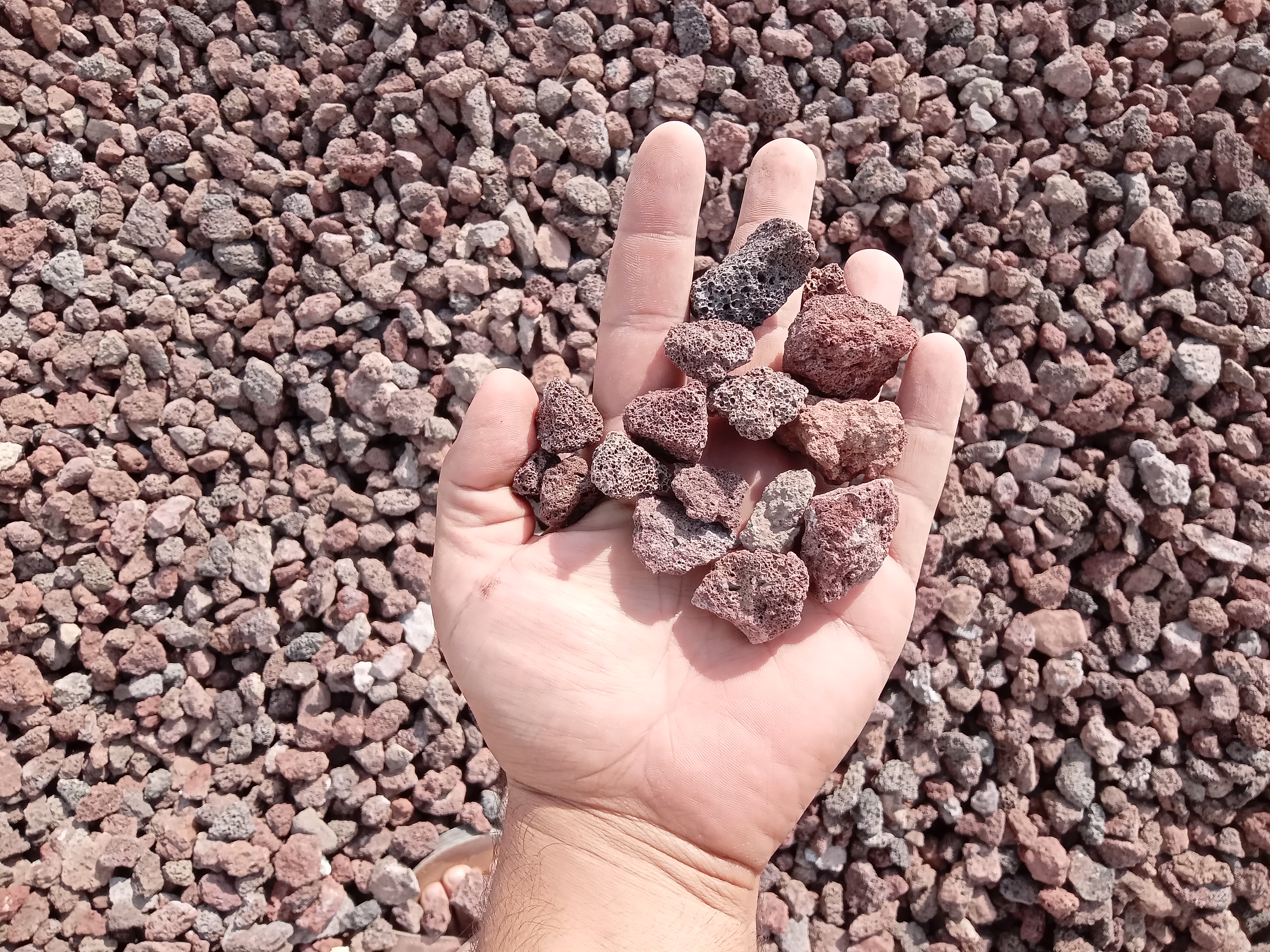 مخلوط نخودی بادومی ۵۰/۵۰