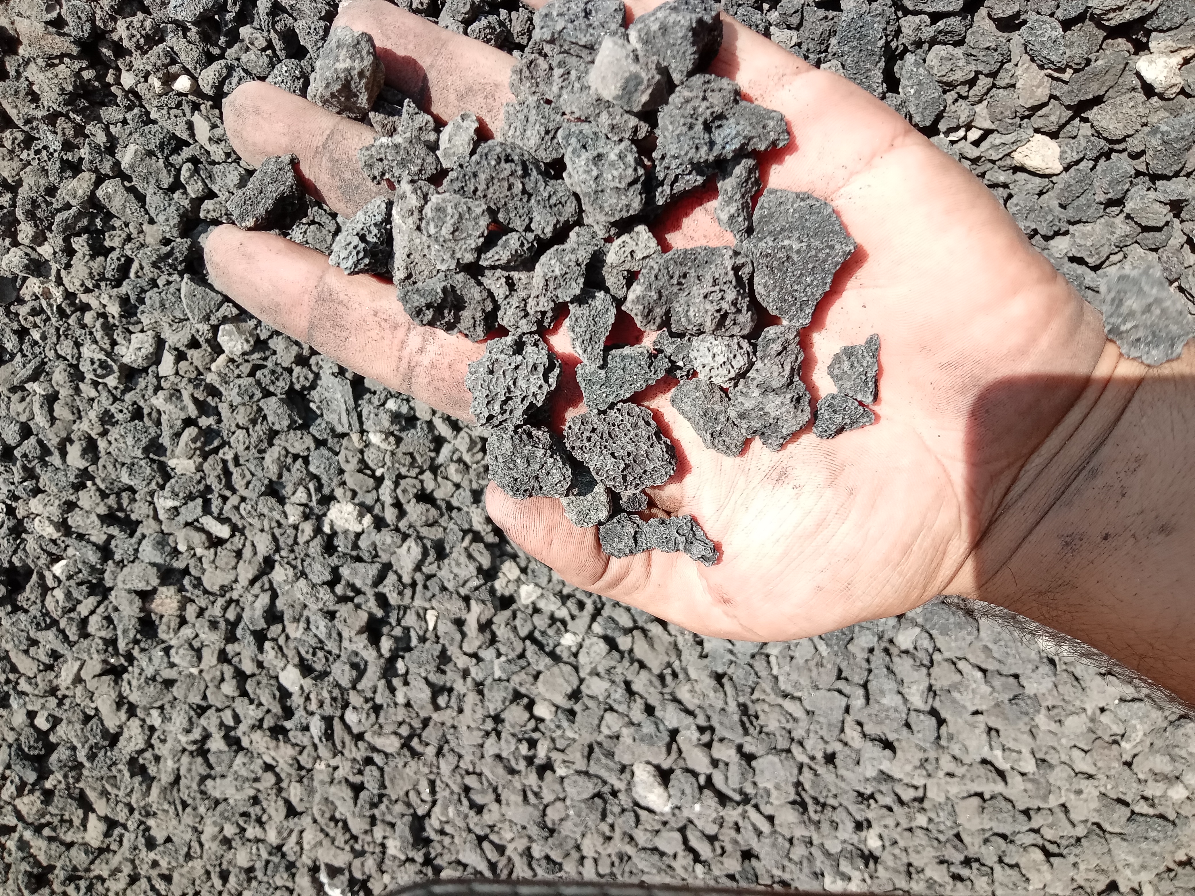 پوکه نخودی مشکی درجه ۱