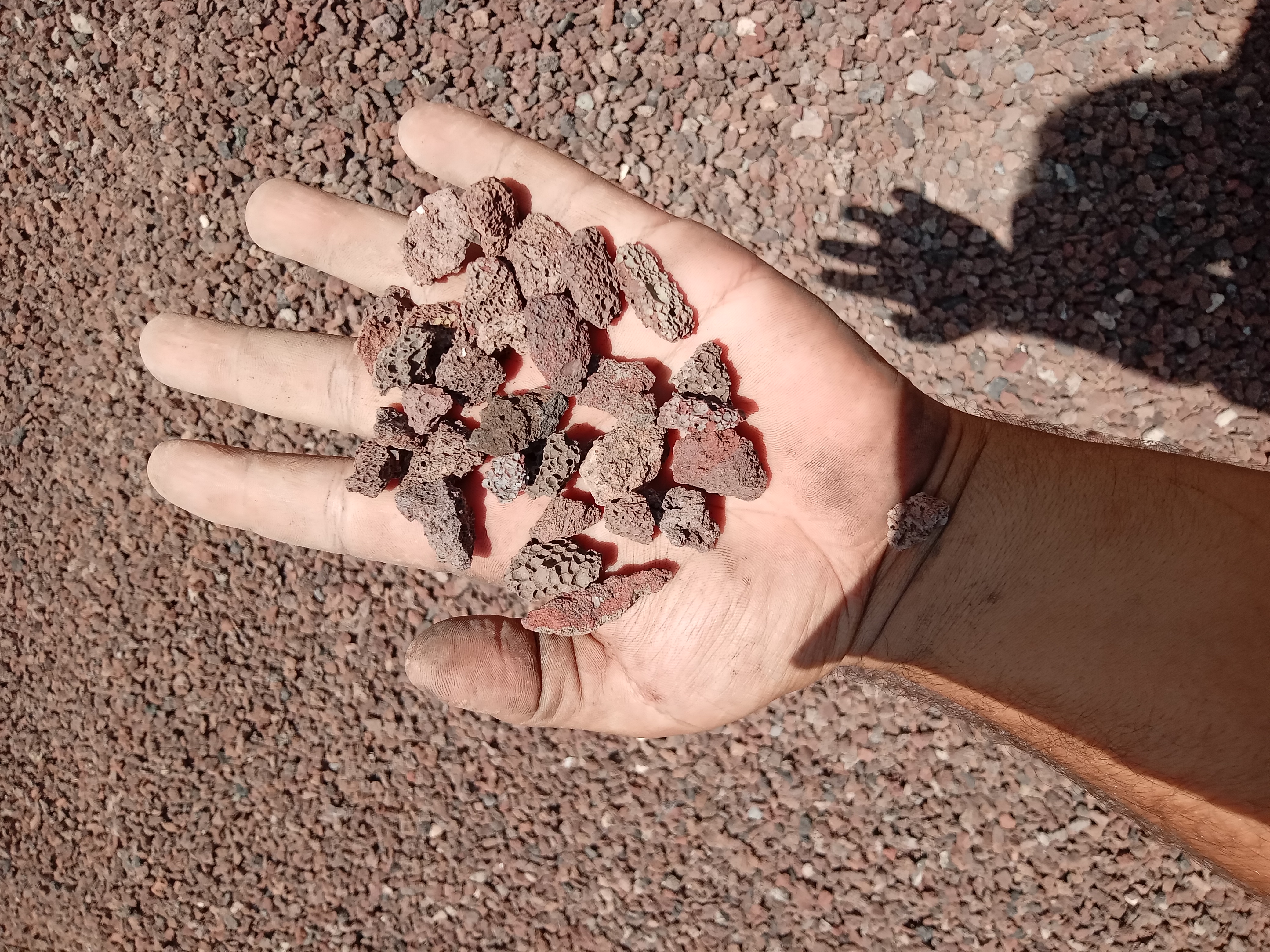 نخودی درجه ۲